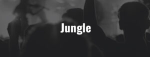 Jungle - Ticket - 08.11.2026